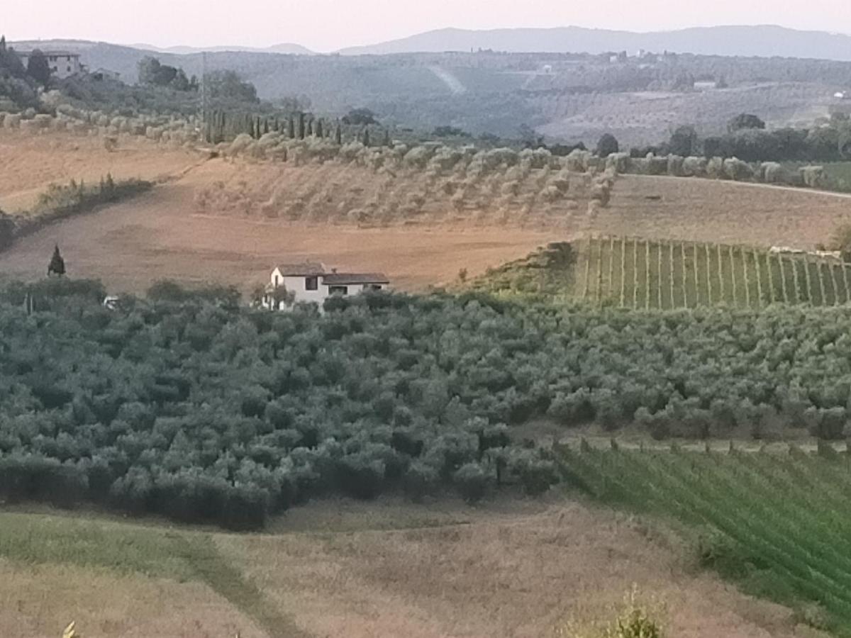 Villa Degli Olivi Nature Siena Ngoại thất bức ảnh